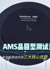 瑞樂半導(dǎo)體——AMS晶圓型多功能測試片核心優(yōu)勢#晶圓檢測 #晶圓制造過程 #晶圓測試 
