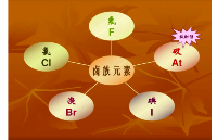 <b class='flag-5'>一</b><b class='flag-5'>文</b><b class='flag-5'>帶你</b><b class='flag-5'>了解</b>鹵素