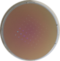 640 (49).png
