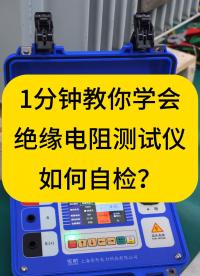 1分鐘教你學(xué)會(huì)絕緣電阻測(cè)試儀如何自檢？記住2個(gè)數(shù)據(jù) #自檢 #儀器自檢 #儀器儀表 