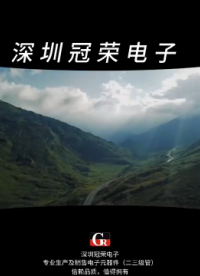 2EZ10D5穩(wěn)壓二極管：10V高穩(wěn)定齊納管 車載電子電壓基準(zhǔn)元件#二極管# 