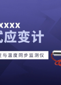 振弦式應(yīng)變計 混凝土內(nèi)部應(yīng)變與溫度同步監(jiān)測儀