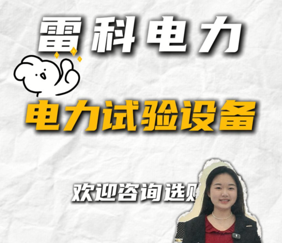 雷科電力——買電力試驗(yàn)設(shè)備嗎，看這里！#電力試驗(yàn)設(shè)備 