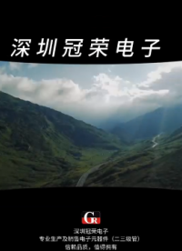 1N5349B穩(wěn)壓二極管：±5% 高精度，工業(yè)級功率穩(wěn)壓制器#二極管# 