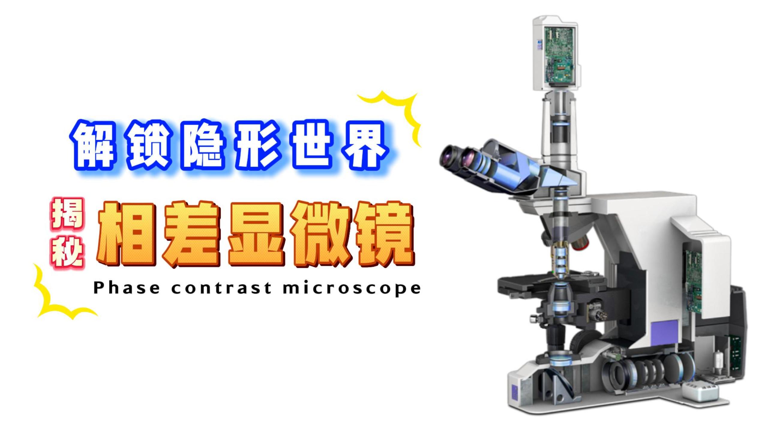 微觀世界的自動(dòng)巡航：當(dāng)相差顯微鏡擁有了壓電定位臺(tái)#壓電 #芯明天 #相差顯微鏡 