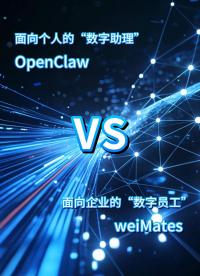 數(shù)字助理OpenClaw與數(shù)字員工weiMates的區(qū)別
# 人工智能
# OpenClaw