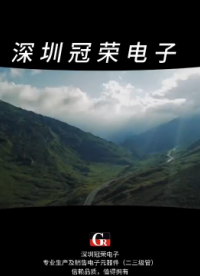 2EZ12D5穩(wěn)壓二極管：2W功率儀器儀表電路過壓防護(hù)#二極管# 