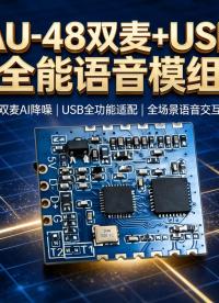 工礦企業(yè)高噪音環(huán)境對(duì)講設(shè)備降噪消回音模組AU-48