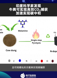 印度科學家發現牛糞可實現高效CO?捕獲，加速實現碳中和