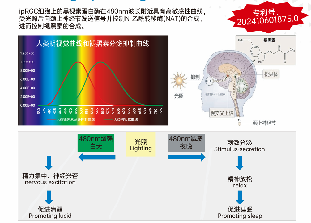 2444b8ac-229f-11f1-90a1-92fbcf53809c.png