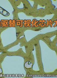 中芯啟恒?石油驅(qū)替可視化芯片方案（“芯片上的油藏”）#芯片 #石油驅(qū)替 