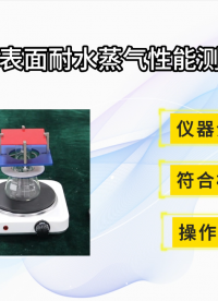 賽銳特 SRT-F1087-人造板表面耐水蒸氣性能測(cè)定裝置-GB/T 17657-2022#測(cè)試儀器 #廠家 