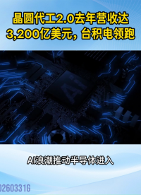 晶圓代工2.0去年營收達3,200億美元，臺積電領跑#晶圓代工2.0#半導體#制造業(yè)
 
