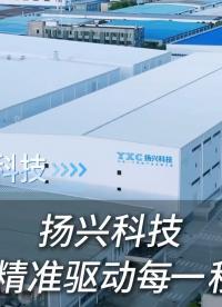 扬兴科技，精准驱动每一秒
#电子 #电子工程师 #电子元器件 #晶振 #晶振厂家 #扬兴科技 