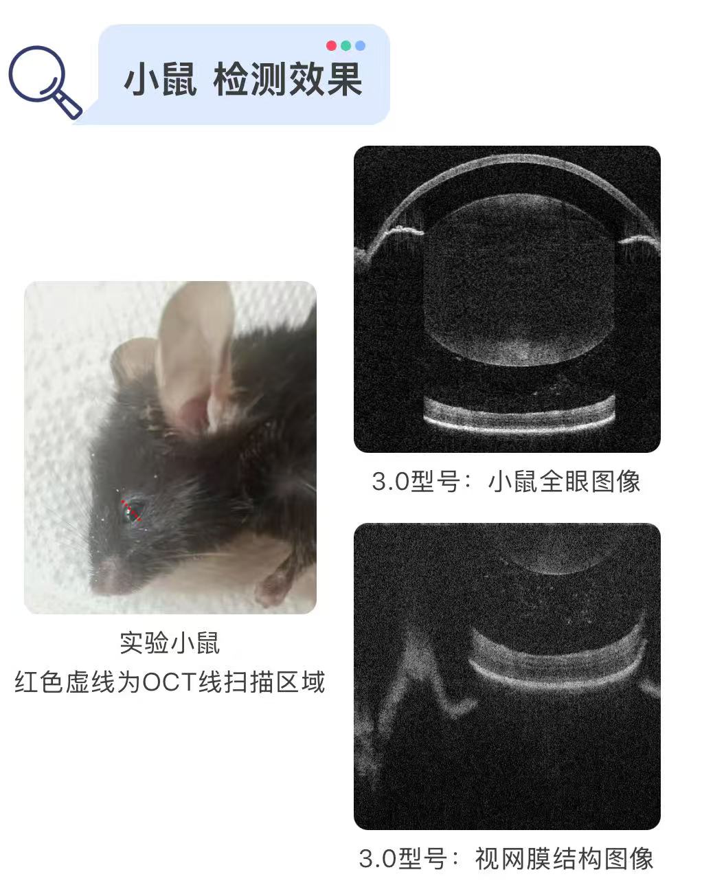 wKgZO2nPbbeAOFU9AAJyTskYRLs513.png