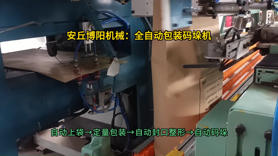 塑料颗粒全自动包装码垛机  智能包装码垛设备自动上袋#全自动包装码垛机 #智能包装码垛机 #机械手包装码垛机 