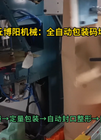 塑料颗粒全自动包装码垛机  智能包装码垛设备自动上袋#全自动包装码垛机 #智能包装码垛机 #机械手包装码垛机 