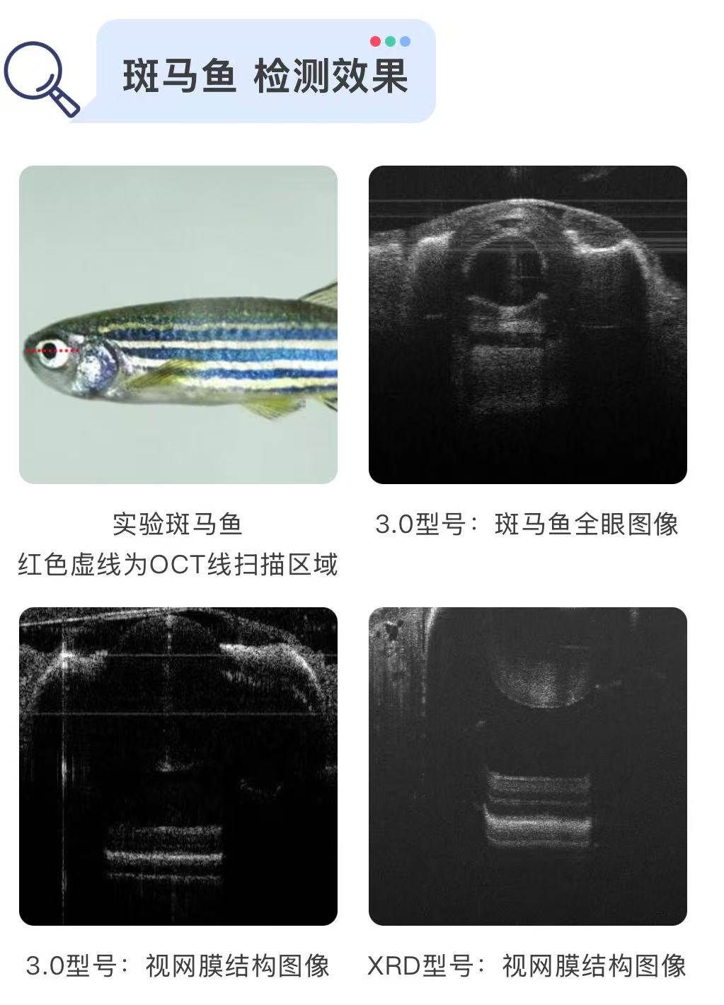 wKgZPGnPbb6AQdECAAHytEPLuHk945.png