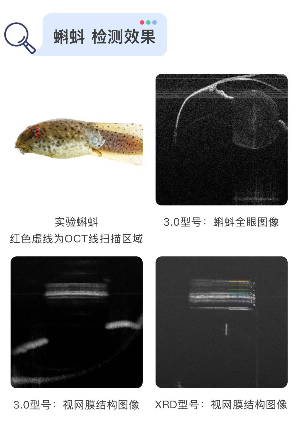 wKgZPGnPbcWAIv-LAAISWfqdIsc894.png