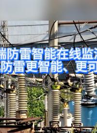 安科瑞防雷智能在線監(jiān)測系統(tǒng)——讓防雷更智能、更可靠# 防雷# 防雷系統(tǒng) 