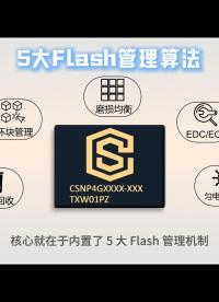 一文讀懂 CS SD NAND 內(nèi)置 5 大 Flash 管理算法#算法 #存儲 #硬核拆解 #芯片 