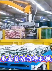 山東本森智能裝備 大米全自動拆垛機(jī)械手#拆垛機(jī)器人
 