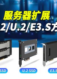 M.2拆到崩潰、U.2沒接口、E3.S用不上？服務(wù)器擴(kuò)展存儲難題一次解決！#硬盤盒 #服務(wù)器 