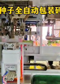25kg水稻種子全自動包裝碼垛生產(chǎn)線#25KG包裝機 #水稻種子包裝機 #自動包裝碼垛設(shè)備 #自動化生產(chǎn)線 