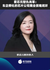 愛芯元智仇肖莘：車企孵化的芯片公司商業(yè)很難閉環(huán)