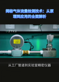 揭秘氣體流量檢測技術：從原理到應用的全面解析#農(nóng)業(yè)物聯(lián)網(wǎng) #專科生 #plc教學 #警車燈電路 #溶氧儀校準 