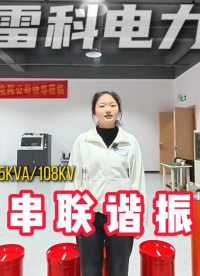 雷科電力135kVA/108kV變頻串聯(lián)諧振試驗(yàn)裝置，是電力預(yù)防性試驗(yàn)、交接試驗(yàn)的首選設(shè)備。#變頻串聯(lián)諧振
 