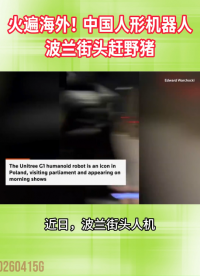 火遍海外！中国人形机器人波兰街头赶野猪#人工智能 #人形机器人
 