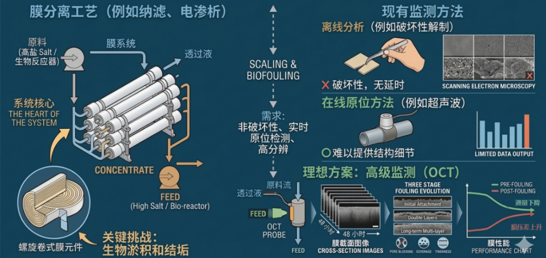 <b class='flag-5'>友</b><b class='flag-5'>思</b><b class='flag-5'>特</b>OCT應(yīng)用視界 | 工業(yè)<b class='flag-5'>檢測</b>篇（一）：膜污染的原位實時高分辨<b class='flag-5'>檢測</b>