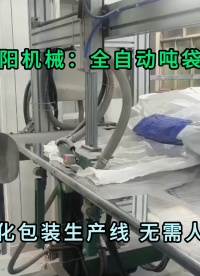 片碱全自动吨袋包装机 碱粉全自动吨包定量包装秤
