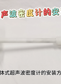 一體式超聲波密度計(jì)的安裝方式