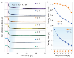 中国科学院合肥物质科学研究院等《National Science Review》：高磁场下二维铁磁体 Fe3GeTe2超快退磁过程的加速效