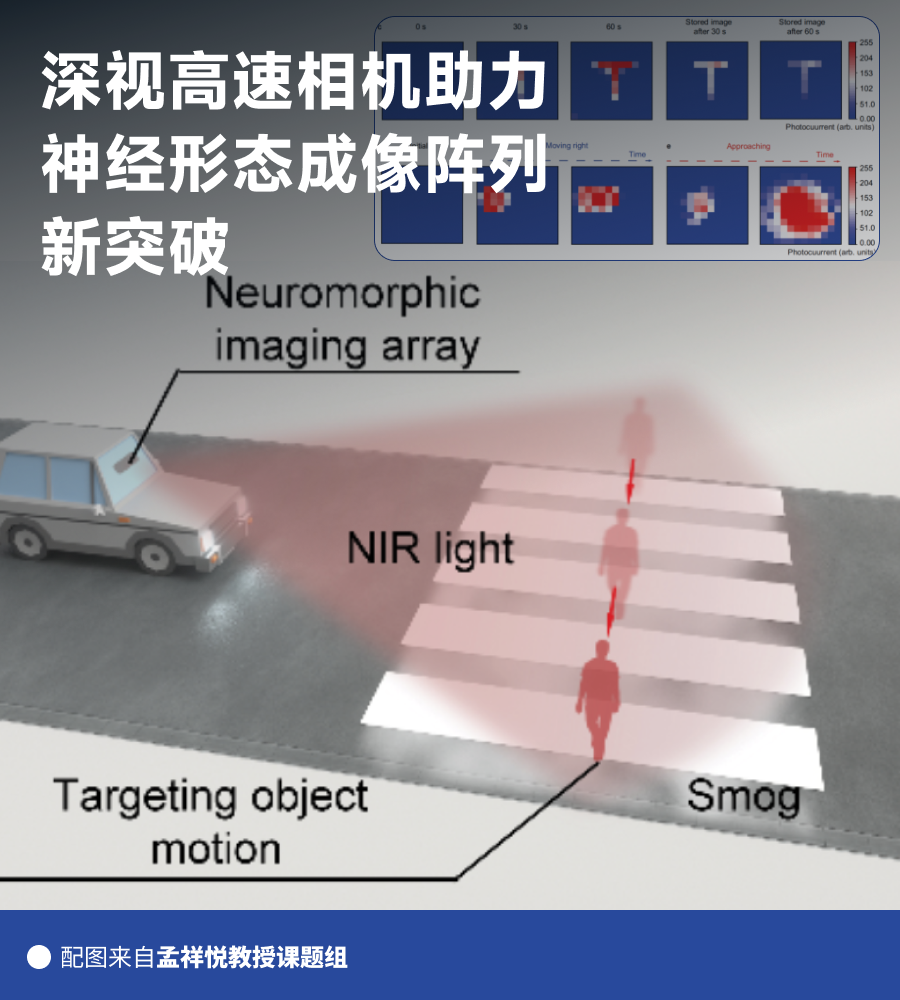 成果登上《Nature Communications》：深视智能高速相机助力破解<b class='flag-5'>神经</b><b class='flag-5'>形态</b>成像验证难题