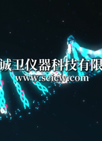 誠(chéng)衛(wèi) CW-Z033 車針徑向跳動(dòng)檢測(cè)儀 YY 0059.1-1991 使用說明