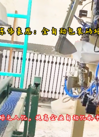 遼寧全自動碼垛機(jī)器人+碳酸鈉全自動包裝秤 解決人工效率慢難題
# 