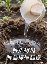 種瓜得瓜，種豆得豆，種晶振得晶振，古人誠不欺我
 #電子 #電子元器件 #晶振 #晶振廠家 #抽象 