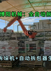 硫酸镁全自动拆包机器人 25kg粉料自动拆包机械手应用