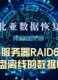 双校验RAID6阵列硬盘离线 定制化方案完整恢复数据
 #服务器数据恢复 
#raid数据恢复 