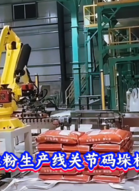 本森智能装备（山东）有限公司 辣椒粉生产线关节码垛机器人#码垛机器人
 