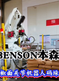 本森智能装备（山东）有限公司 辣椒面关节机器人码垛机#码垛机器人
 