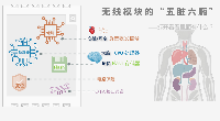 不止是射頻頭  ：一塊<b class='flag-5'>無(wú)線</b><b class='flag-5'>模塊</b>的“五臟<b class='flag-5'>六</b>腑”