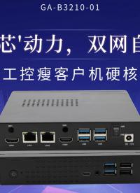 国产'芯'动力，双网自由切：飞腾工控瘦客户机硬核解析