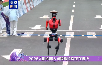 <b class='flag-5'>北京</b><b class='flag-5'>機(jī)器人馬拉松</b>：跑贏人類，卻倒在終點(diǎn)？問題可能不在“跑”
