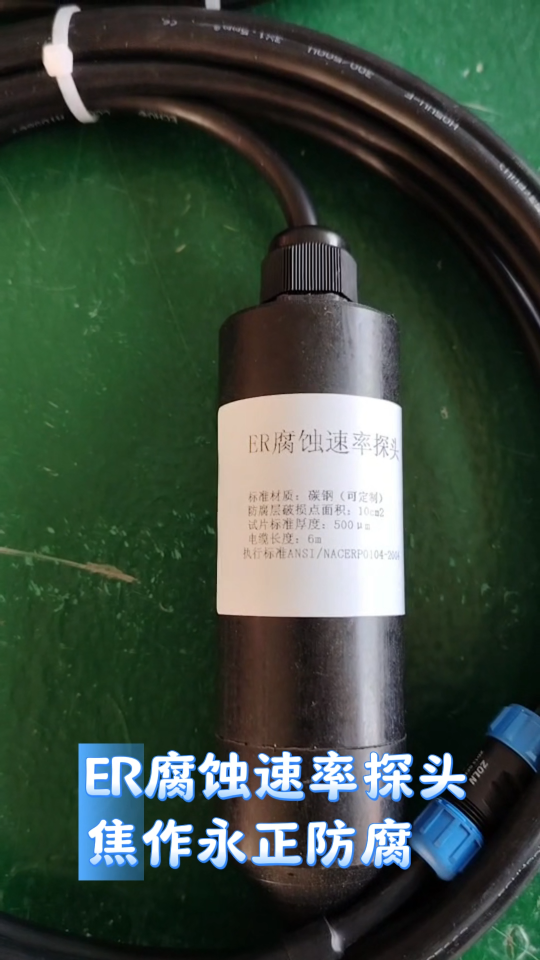 陰極保護數(shù)據(jù)記錄儀腐蝕速率ER腐蝕速率探頭