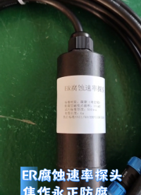 陰極保護(hù)數(shù)據(jù)記錄儀腐蝕速率ER腐蝕速率探頭