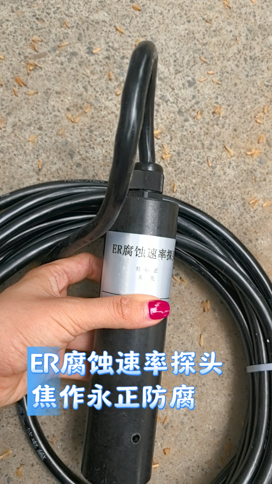 ER腐蝕速率探頭在線腐蝕速率儀 實(shí)時(shí)數(shù)據(jù)輸出 支持與多參數(shù)聯(lián)動(dòng)報(bào)